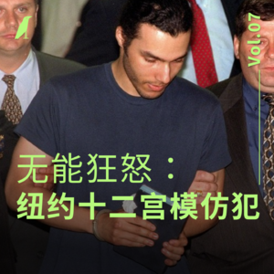 007 无能狂怒:纽约十二宫模仿犯