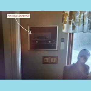 Ep. 042 A Man Called Ove vs. A Man Called Otto