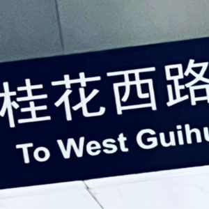 2 捡硬币和望星空,本不该是个选择题