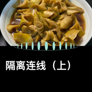 VOL.24 隔离连线（上）：上帝关了你的门，会为你开启？？的窗吧