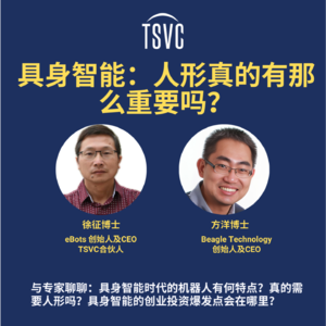 27. 具身智能：人形真的有那么重要吗？