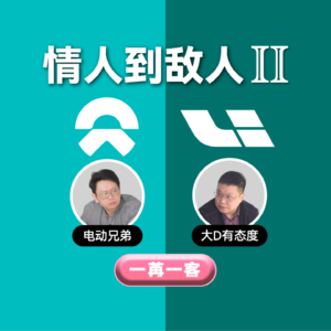 理想的未来是纯电