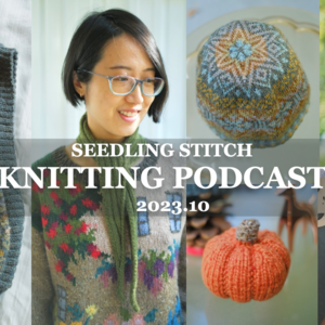 Knitting Podcast 2023.10 英文编织播客