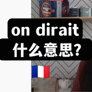 法国人常说法语on dirait什么意思？I法语学习播客