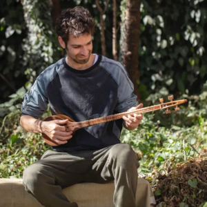 「第3件小众乐器」温柔与力量并济的伊朗乐器|Setar塞塔尔