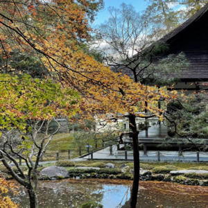 #052 等了三年的出境游，我在出发前“阳”了