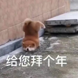 鸽厂闲聊#10|过年回家的人设是自己给的!|过年复盘虽迟但到
