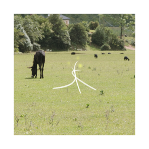 叮！你的云南方言主播已上线～前后鼻音分不清，该说啥还是得咔咔说｜保湿森林 07