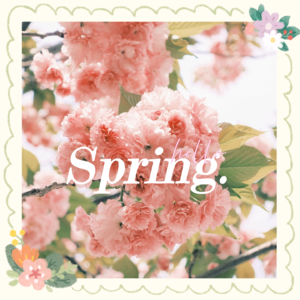 EP31 春天🌸淋一场粉红色的樱花雨