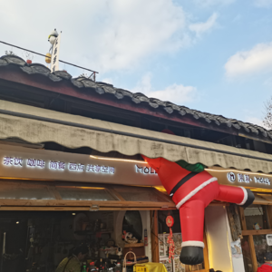 放杨150期杨乐多133期：春节游玩和其他（3）