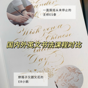 Vol.3 中西方书法课程对比 | 小鹅和阿泰英文书法入坑经历