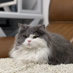 EP26 总有些钱，默默就从我的口袋溜走了