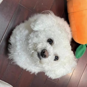 EP13 | 不是，你们做媒体的说话都这么小心吗