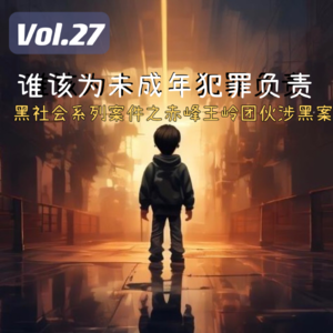 Vol.27 谁该为未成年犯罪负责，黑社会系列案件之赤峰王岭团伙涉黑案