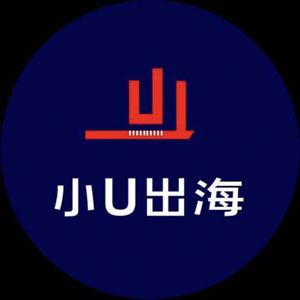 跨境电商独立站品牌案例分享