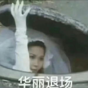 鸽厂闲聊#11|老黄牛不干了!|多比重获自由以后