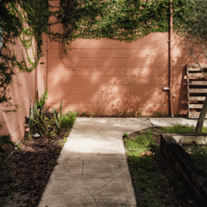 22. 内在动机：是让我们依照内心感觉去生活？