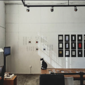 Vol.21 读书有用吗？串台「書店盒子」主播薛薛，讨论阅读对我们的影响