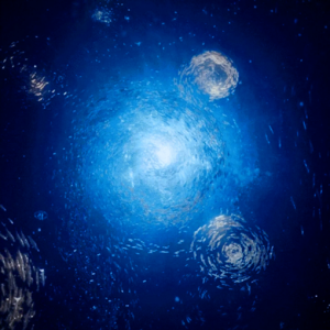 Vol 1. 消失的她 我看该消失的是他吧！