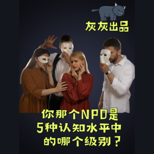 你那个NPD是5种认知水平中的哪个级别？