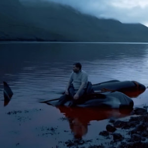 Netflix：“人想活下去，就不要吃鱼。”