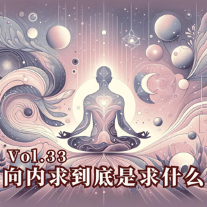 Vol.33 向内求到底是求什么？