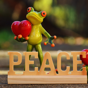 EP01. 消除恐惧的最好办法是面对恐惧