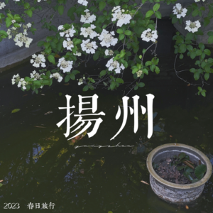 vol.10 红楼城市游记之扬州：去黛玉的家乡「过春天」