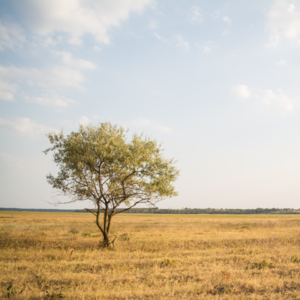 预期可能带来痛苦：从巨额电费到决定养猫