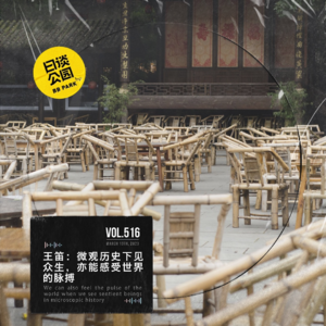 vol.516 王笛:微观历史下见众生,亦能感受世界的脉搏