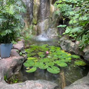 Vol.2 【五四婚姻】：七位女性才走得完的“娜拉”一生