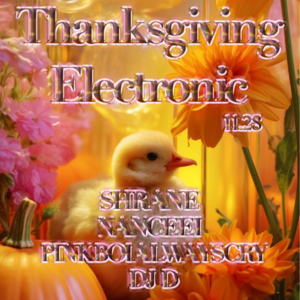 2024.11.28 @AXIS Thanksgiving Electronic 感恩电波 w/shrane