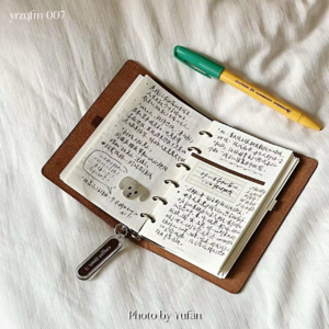 007 日常生活可视化：记录生活就是在撰写我们自己的“人生编年史”