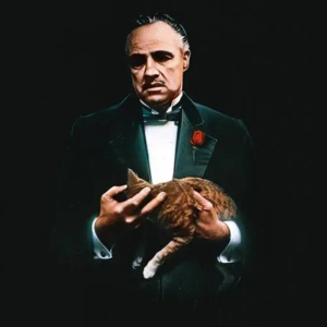 EP.06【番茄探秘】全球“狂飙”-硬核狠人系列