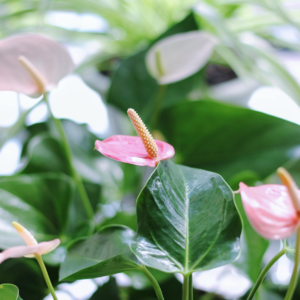 14.如何面对原生家庭的伤痛,“爱”的迷雾下没有被尊重的女儿们