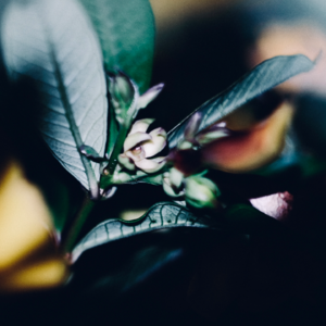 #EP 20 QE Channel 床是最小单位的诺亚方舟