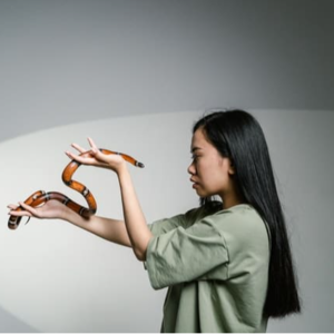 (双语) AEE-8: How to Get Over Your Fear of Talking with Native