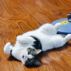 EP04.展现脆弱才不是丢人的事儿！