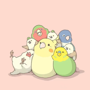 VOL003年纪轻轻已经开始遛鸟了~疯狂安利可爱鹦鹉