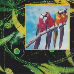 【Jué Music】Easy Monday Listening 4.22