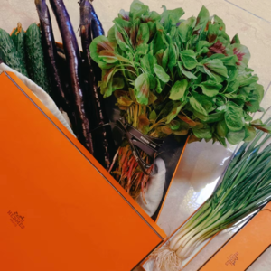 居家日记，沪上愚公隔离指南