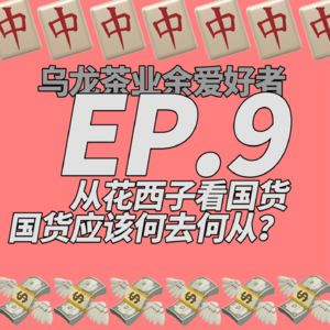 EP.09 从花西子看国货 国货应该何去何从？