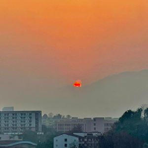 008：一次情绪并不高涨的23年终总结，但又是脱胎换骨的一年