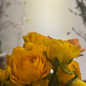 拆盲盒，放飞自我、互相奔赴的上巳节哪儿去了？