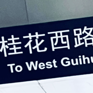 1 故乡的风掀起城市的沙尘，如何在漂泊中安放自我