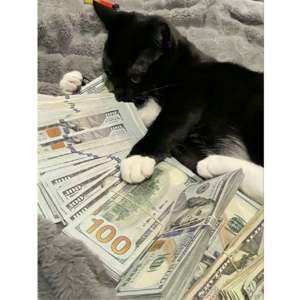 97 你连面子都放不下,搞什么钱