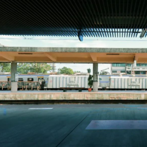 Vol.11丨可持续发展咨询师：我的人生切割术