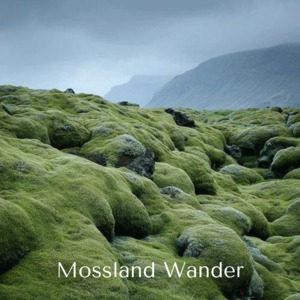 Vol.0 | 人生不就是玩玩、一切如梦幻泡影、乐观是一种理智