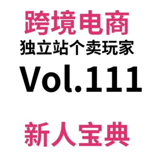 Vol111.手把手教你跨境电商独立站SEO（9）：如何完成一篇SEO友好的Blog？“用AI建站，我爆单了？”