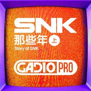 SNK的那些年.上